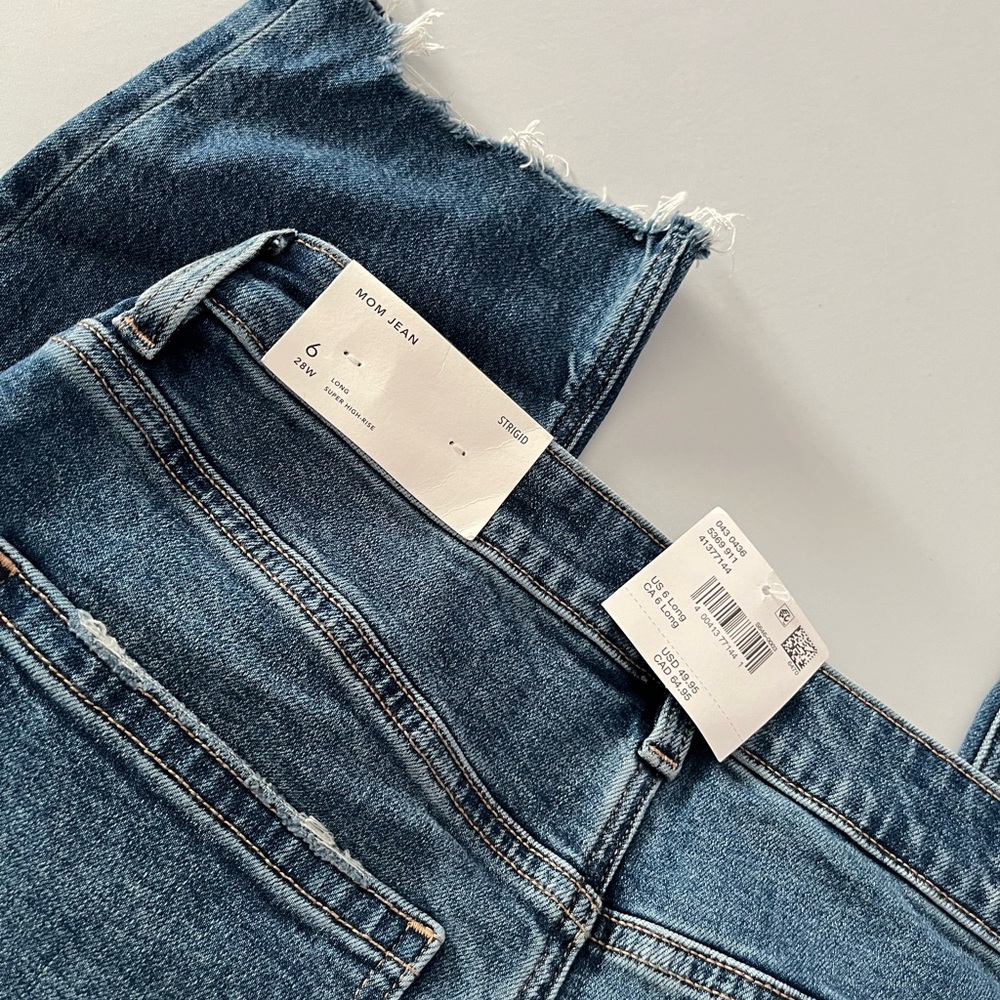 American Eagle Outfitters STRIGID Mom Jean size 28/6L